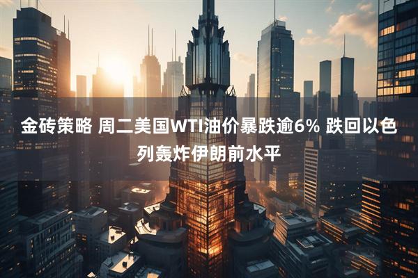 金砖策略 周二美国WTI油价暴跌逾6% 跌回以色列轰炸伊朗前水平