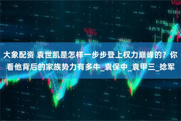 大象配资 袁世凯是怎样一步步登上权力巅峰的？你看他背后的家族势力有多牛_袁保中_袁甲三_捻军