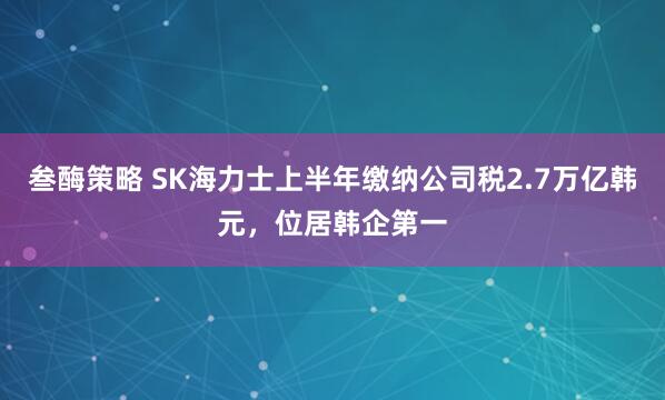 叁酶策略 SK海力士上半年缴纳公司税2.7万亿韩元，位居韩企第一